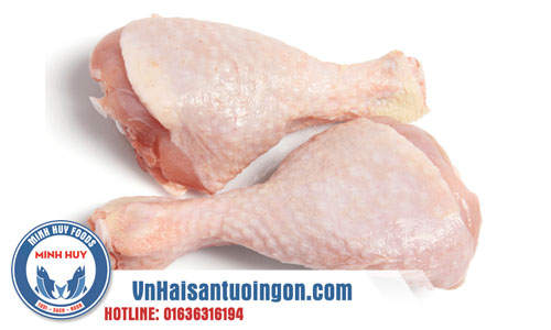 Bệnh tụ huyết trùng ở gà được xem là loại bệnh gì?
