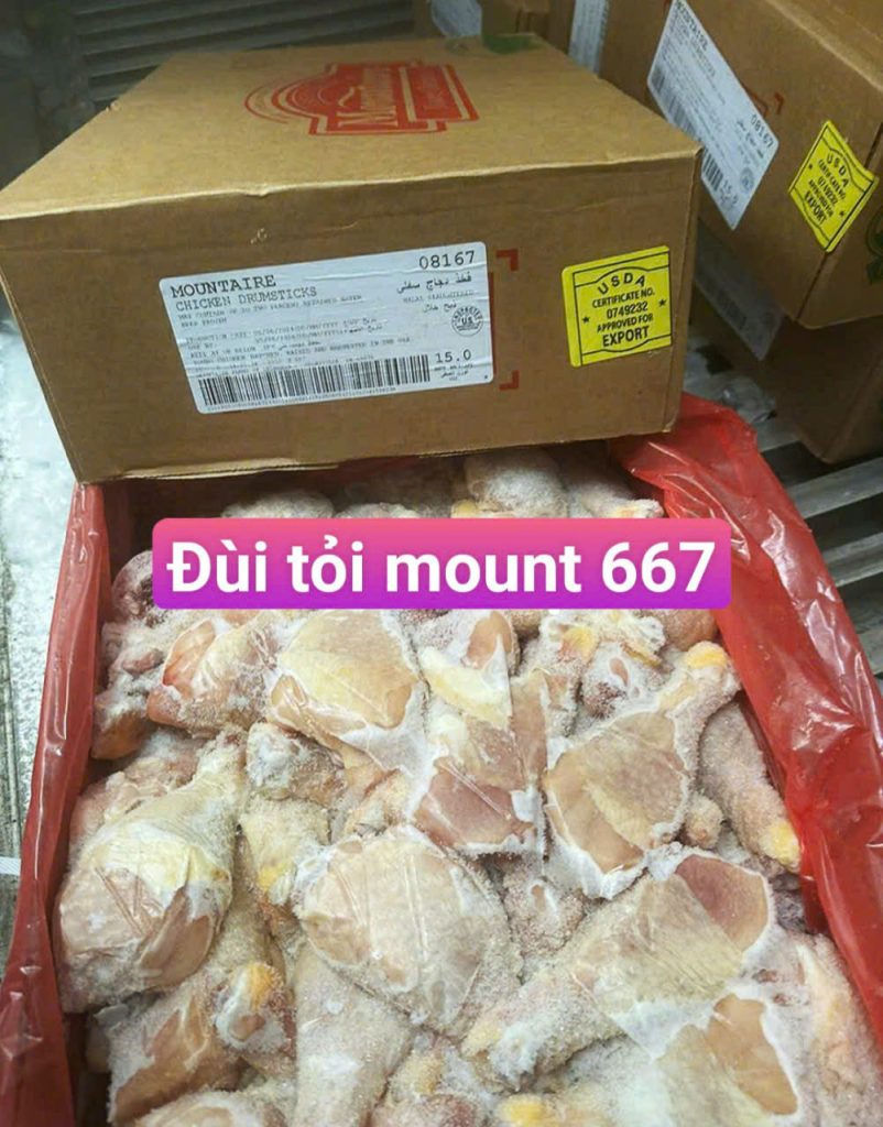 Đùi tỏi mount 667