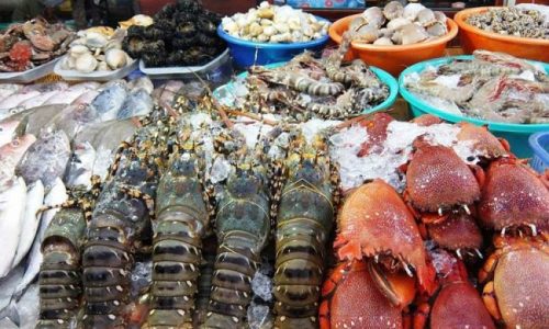 Vựa hải sản Minh Hải