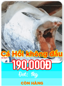 Cá hồi không đầu