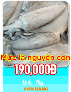 Mực lá nguyên con