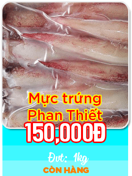 Mực trứng Phan Thiết