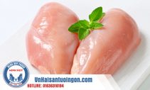 Báo giá ức gà phi lê chi tiết nhất