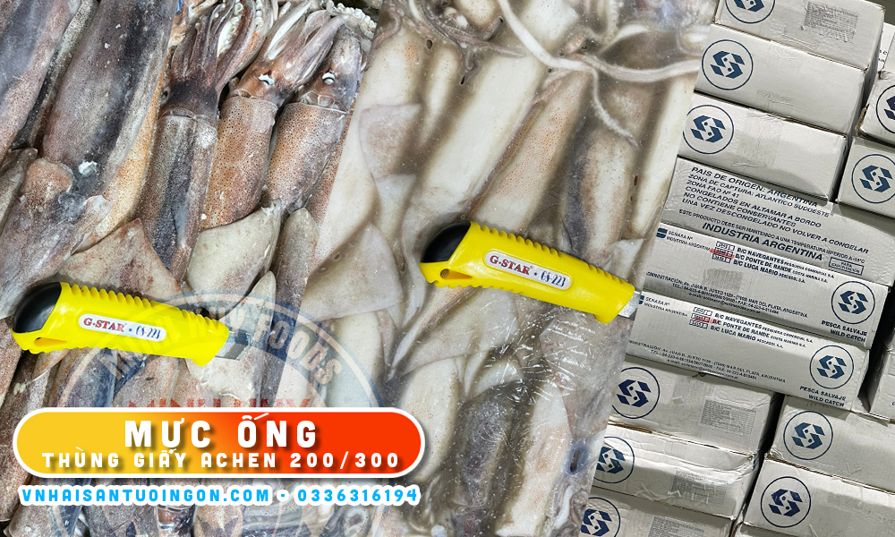 Mực Ông Thùng Giấy Achen 200/300