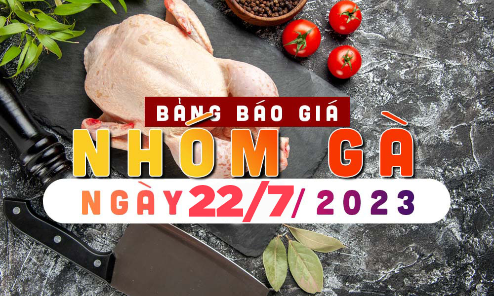 Bảng báo giá gà ngày 22-7-2023