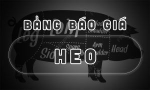 Bảng báo giá Heo