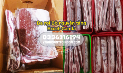 Ba rọi Bò nguyên tảng Excel- Canda