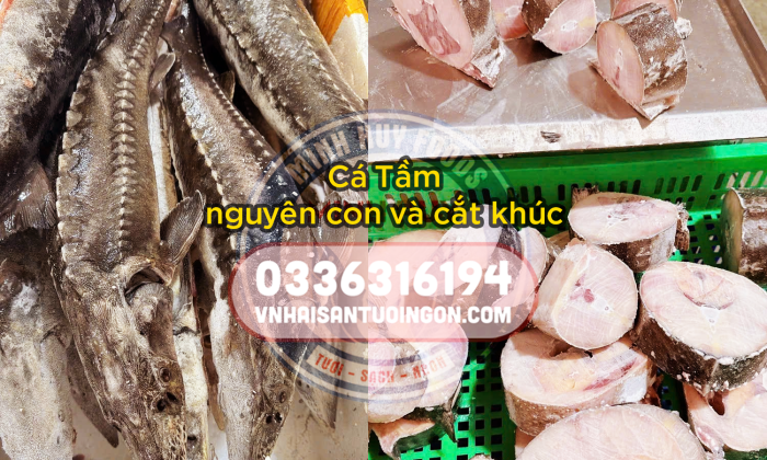 Cá tầm nguyên con và Cắt khúc