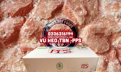 Vú Heo Tây Ban Nha PPS