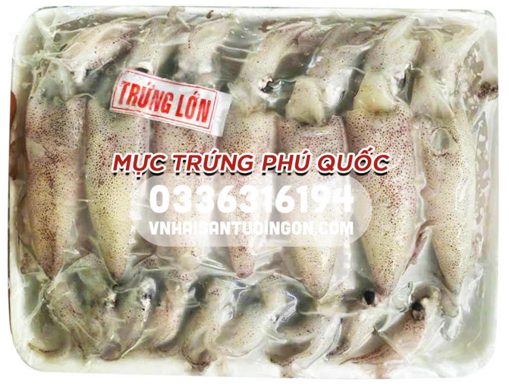 Mực trứng lớn Phú Quốc