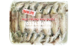Mực trứng lớn Phú Quốc