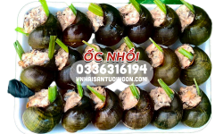 Ốc nhồi đông lạnh mua tại TpHCM sỉ lẻ gia tốt