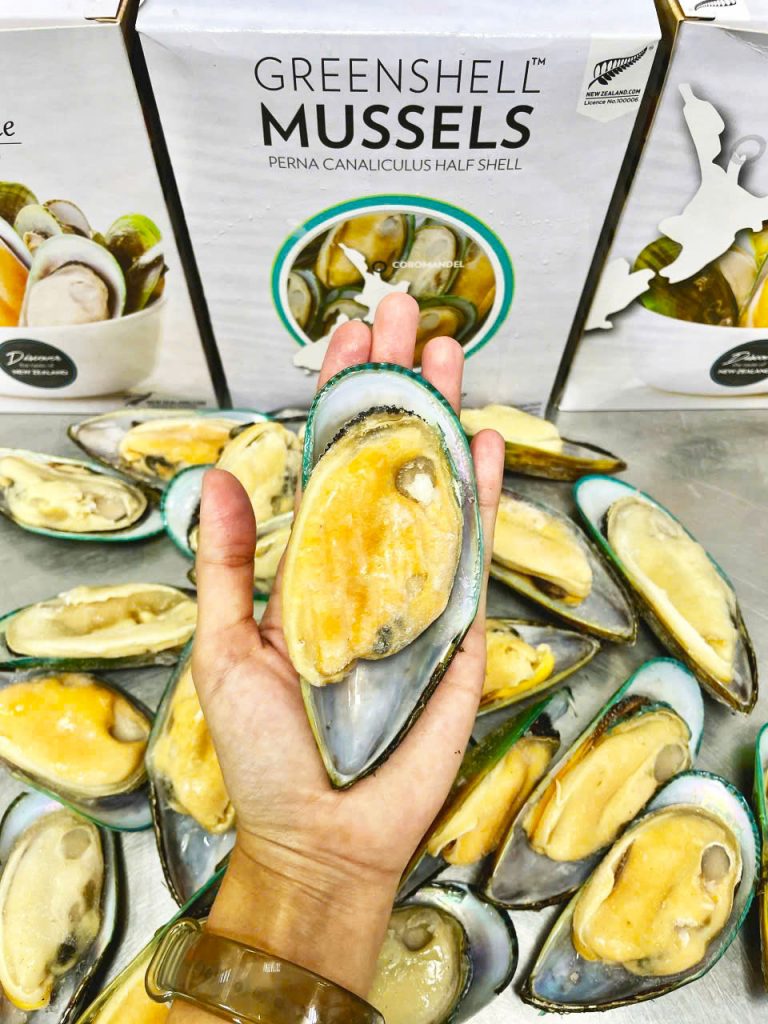 Vẹm nửa mảnh kích thước 20-30