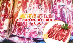 Dẽ-sườn-Bò-Excel-mã-dài