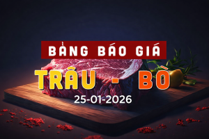 BBG NHÓM BÒ &TRÂU 25-01-2026
