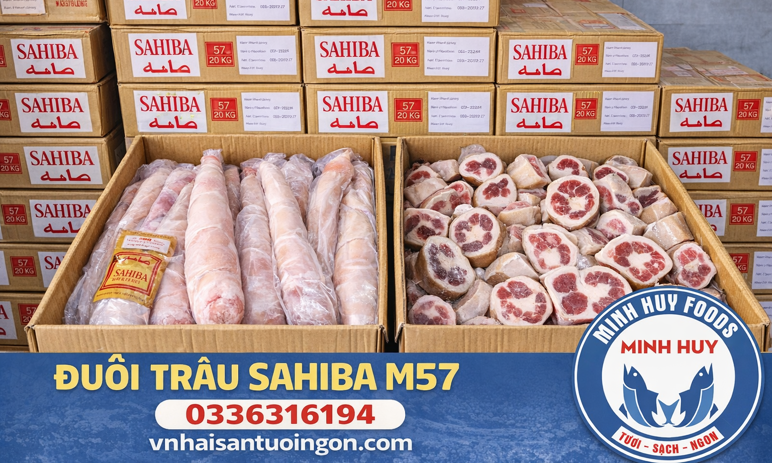 Đuôi trâu SAHIBA M57