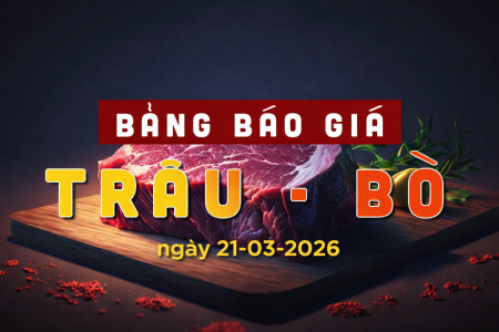 Bảng báo giá thịt bò và thịt trâu đông lạnh nhập khẩu Minh Huy Foods