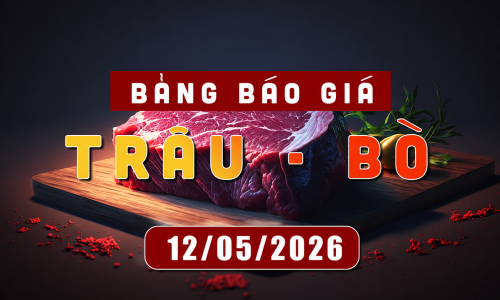 Bảng báo giá thịt trâu bò ngày 12.5.2026